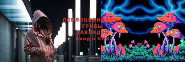 сатива Алзамай