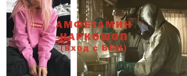 сатива Алзамай