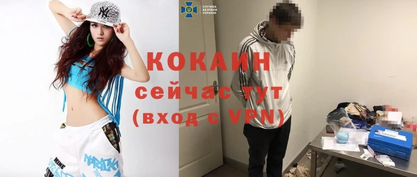 тгк Абаза