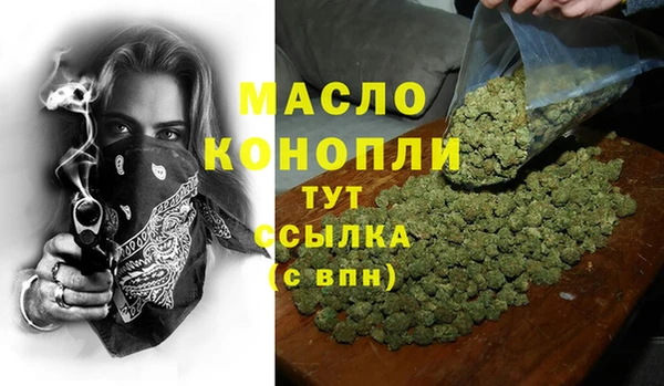 тгк Абаза