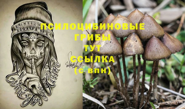 тгк Абаза