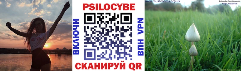 MEGA Николаевск-на-Амуре Галлюциногенные грибы Psilocybe